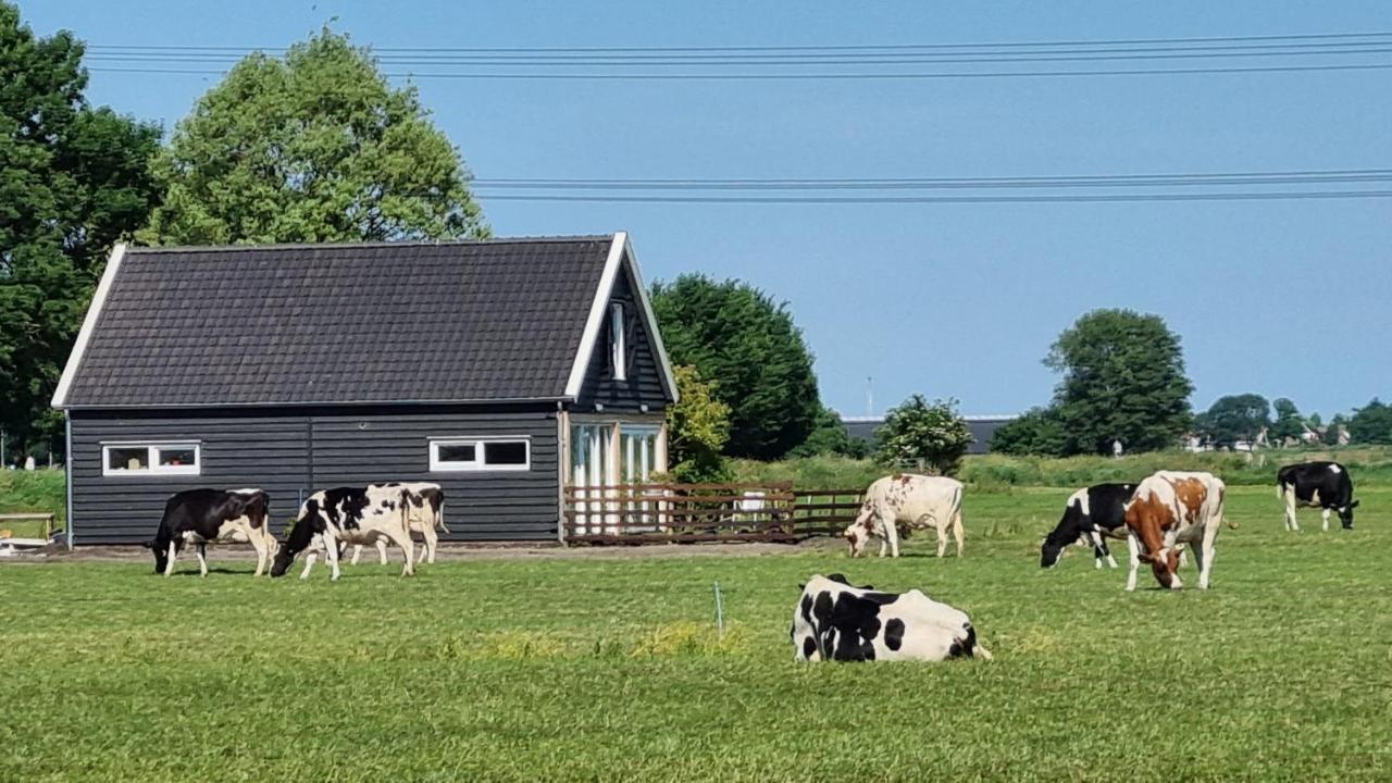 City Farmers Lodge, A Guesthouse With A Skyline View In Rural 阿姆斯特丹 外观 照片